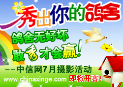 中信网“秀出你的鸽舍”摄影月活动七月一日开赛